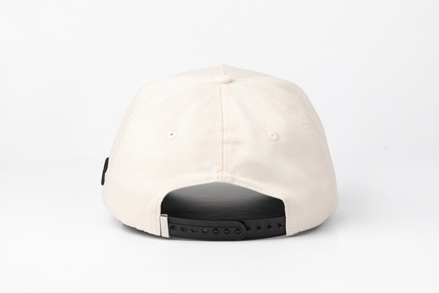 Black & white Oyster